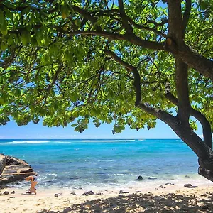  Apartment Kuhio Shores 201 United States